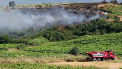 tarim arazisi -  Turgutlu'da 15 dönüm tarım arazisi küle döndü Videosu