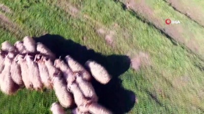 kis mevsimi -  Ahır Dağı’ndaki Karagöl havadan görüntülendi Videosu