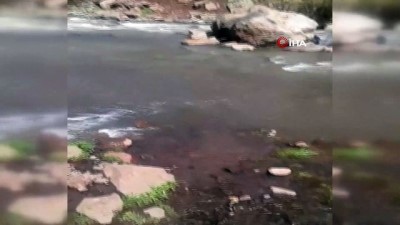  Derenin götürdüğü ineklerden 1'i telef oldu, 3'ü bulundu
