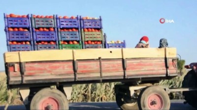 tarim arazisi -  Kırkağaçlı çiftçilerin ucuz mazot sevinci  Videosu