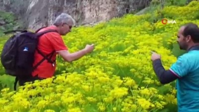 parasutcu -  Yüzlerce fotoğrafçı, Zap Vadisi’ne akın etti  Videosu