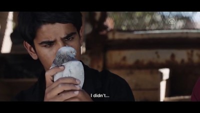 zamanda yolculuk - Sinema - 'Güvercin Hırsızları' - İSTANBUL  Videosu