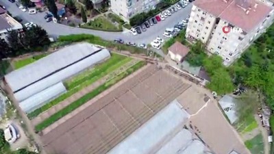 tarim arazisi -  İstanbul'un göbeğinde, devasa binaların gölgesindeki seralar havadan görüntülendi  Videosu