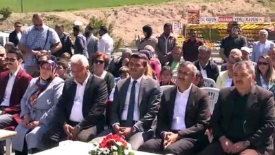 dogal urun - Kırıkkale'de lavanta vadisi açıldı  Videosu