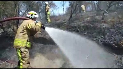 ormanli - Orman yangını - İSTANBUL  Videosu