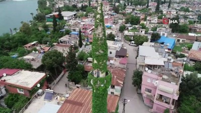 botanik bahcesi -  Çevresini ve minaresi saran sarmaşıklarıyla ünlü 'Yeşil Camii' havadan görüntülendi  Videosu