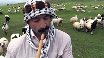 Sürü peşindeki çobanların ilk iftarı - BİNGÖL