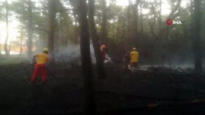  Datça’da yangın...3 dönüm ormanlık alan kül oldu