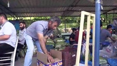 erik agaci - Göksu Vadisi'nin eriği Türkiye'ye dağıtılıyor - KARAMAN  Videosu