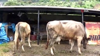 elektrik dagitim sirketi -  Karanlıkta yemek yapıyorlar, odun ateşiyle aydınlanmaya çalışıyorlar  Videosu