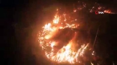  Rize'deki ormanlık alan alev alev yandı