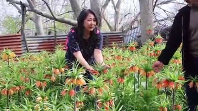 'Ağlayan gelin'e Japon ziyaretçi - ELAZIĞ 