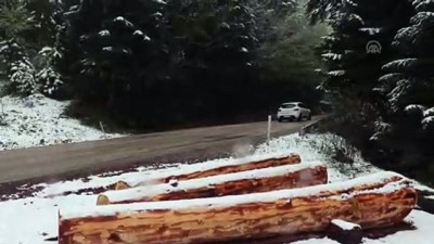ilkbahar - Bolu'da kar yağışı - BOLU  Videosu