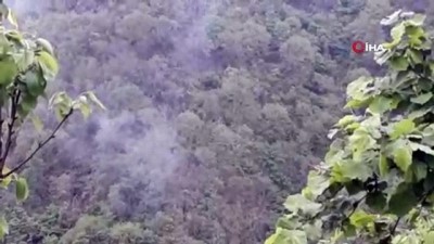  Espiye ilçesinde ormanlık alanda çıkan yangın söndü 