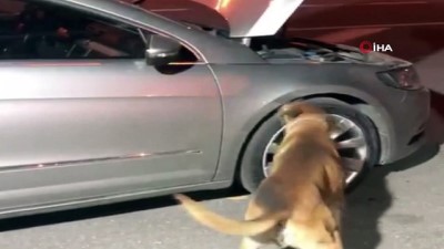  Kayseri'de 4 kilo 564 gram tarihi altın sikke ele geçirildi 