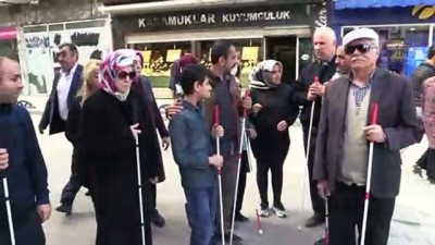 Özgürce dolaşmanın püf noktalarını öğreniyorlar - KASTAMONU 