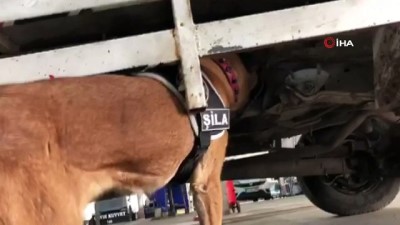  Van’da 155 kilo 810 gram eroin ele geçirildi 