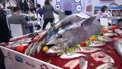 50 milyon dolar -  - SEAFOOD Fuarı'na Türk firmaları damga vurdu
- Avrupa sofralarında bulunan 3 balıktan 1’i Türk balığı  Videosu