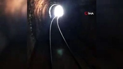yaban kecisi -  Tünele giren yaban keçileri trenin altında kalmaktan son anda kurtuldu  Videosu