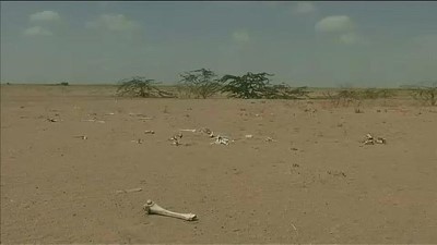 kuresel isinma - Araştırma: Dev şirketler küresel ısınma sonucu 5 sene içerisinde 1 trilyon dolar kaybedecek Videosu