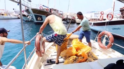 isaf -  Kaş’ta denizden çıkanlar şoke etti  Videosu
