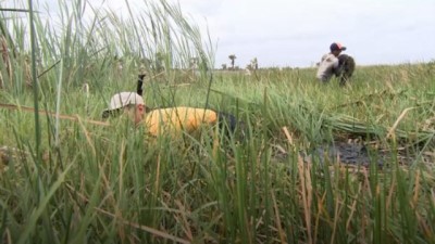 habitat - Meksika kıyıları Aztek geleneğiyle korunuyor  Videosu