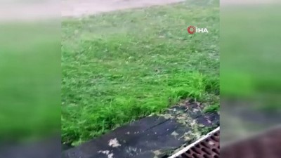 tarim arazisi -  Nallıhan'da tarım arazileri sel vurdu Videosu