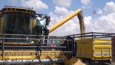 kirac -  Arpa üretiminde Türkiye 6’ncısı Aksaray’da hasat başladı  Videosu