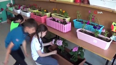 botanik bahcesi -  Bu okul diğerlerinden çok farklı...Minikler okulda tavuk besliyor  Videosu
