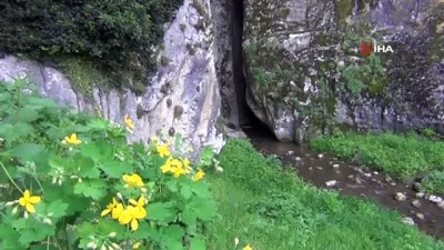 kanyon -  'Kalinse Şelalesi' keşfedilmeyi bekliyor  Videosu