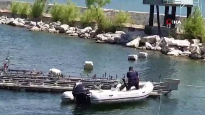 sparta -  Zabıtadan gölde ördek kurtarma operasyonu Videosu