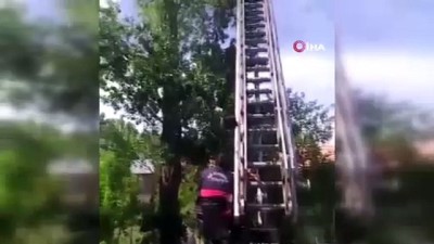  Kestiği ağaçta mahsur kalan vatandaşı itfaiye kurtardı