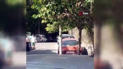 efes -  Beşiktaş Ortaköy’de arı istilası  Videosu