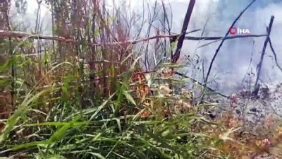 tarim arazisi -  Evlerin arasındaki tarım arazisinde çıkan yangın korkuttu Videosu