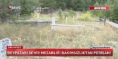 beyaz haber - Mezarlar otlar arasında kaybolmuş! Videosu