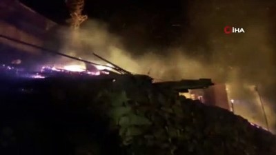  Artvin'deki yangının bilançosu yükseliyor: Şu ana kadar 10 ev kül oldu