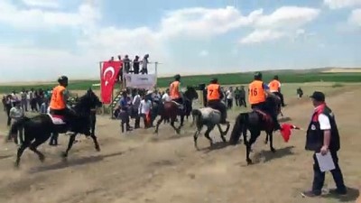 yaris - Diyarbakır'da rahvan at yarışları yapıldı  Videosu