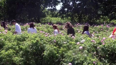 ekolojik - Isparta 'kozmetikte markalaşmayı' hedefliyor Videosu