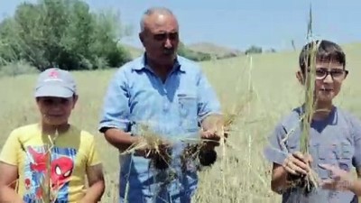 tarim arazisi - Yozgat'taki dolu ve sel Videosu