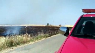 aniz yangini - Anız ateşi buğday tarlasını yaktı - ŞANLIURFA  Videosu