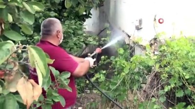 konakli -  Böceklerin istilasına uğrayan mahalleli evlerini boşalttı  Videosu