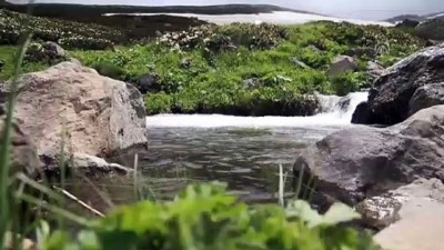 ziyaretciler - Demirkapı Yaylası'nda dört mevsim bir arada - TRABZON  Videosu