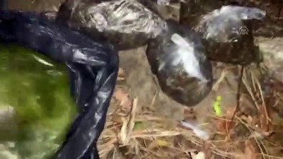 ozel harekat polisleri - İstanbul’da narkotik operasyonu  Videosu