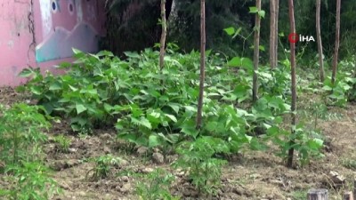 organik sebze -  Okulda yerli tohum üretiyorlar Videosu