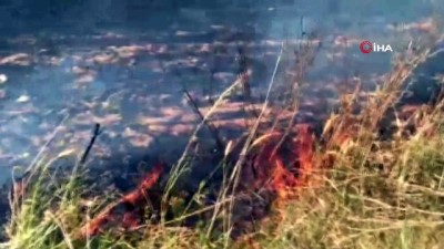 aniz yangini -  Yakılan Anız 40 dönüm buğday tarlasını küle çevirdi  Videosu