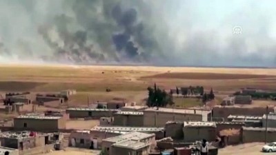 tarim arazisi - YPG/PKK işgalindeki bölgelerde yangın tehdidi sürüyor - KAMIŞLI  Videosu