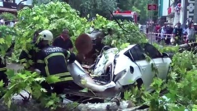 govdeli - Ağaç yola devrildi: 1 yaralı (3) - KOCAELİ  Videosu