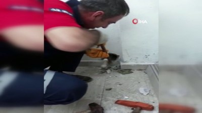 itfaiye eri -  Duvara sıkışan yavru kediyi itfaiye ekipleri kurtardı  Videosu