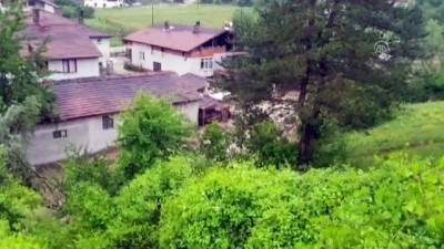 karayollari - Sağanak nedeniyle taşan dere kara yolunu kapladı - BOLU Videosu