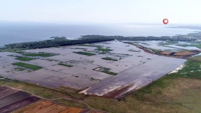 tarim arazisi -  Sular altında kalan tarım arazileri havadan görüntülendi  Videosu
